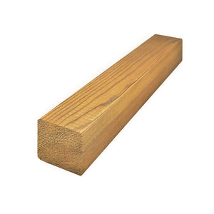 Cypress Pine