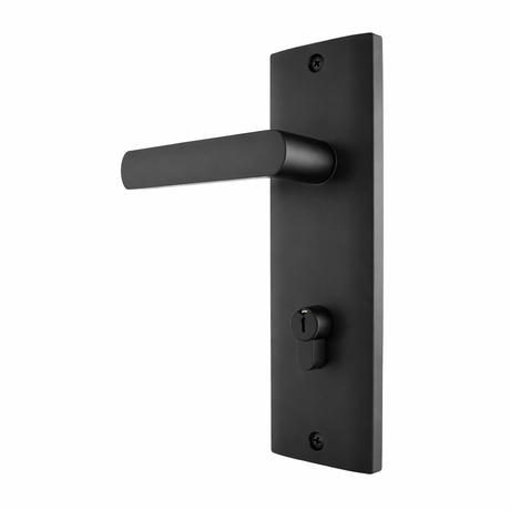 Door Handles