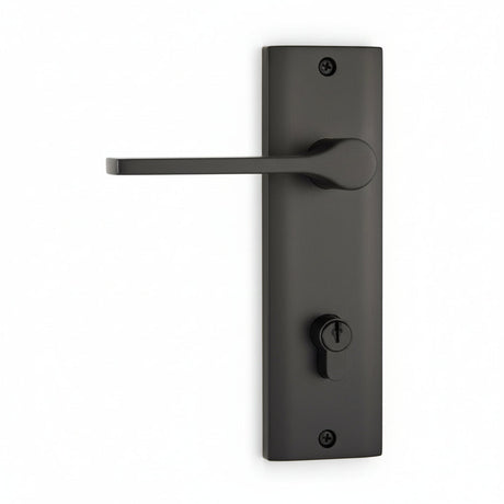 Entrance Door Handles