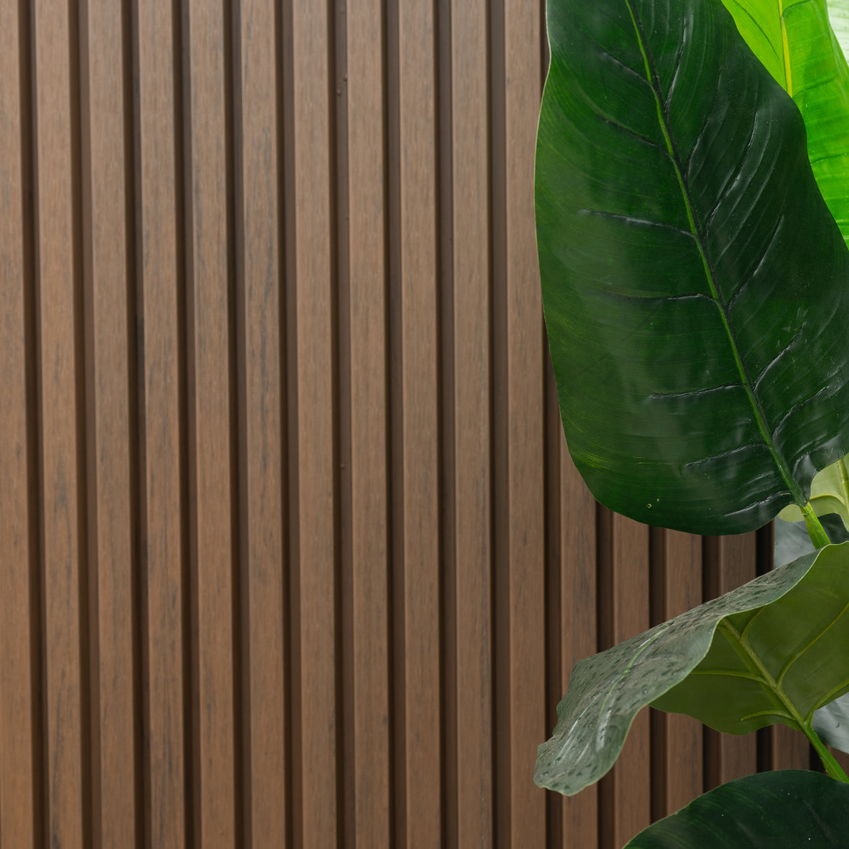 WoodEvo 221x33mm Deep Cladding Board Spotted Gum